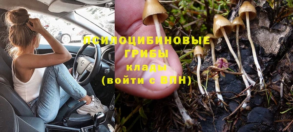 соль курить ск Абаза