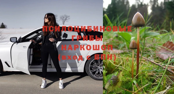 крисы Абинск