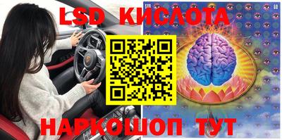 ПСИЛОЦИБИНОВЫЕ ГРИБЫ Коммунар