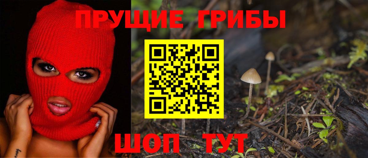 Псилоцибиновые грибы MAGIC MUSHROOMS Моздок